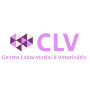 Design sem nome (2)